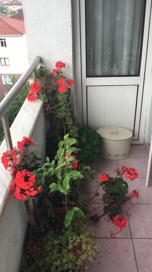 Single Room, Одноместная Комната В Доме, Chambre D'Une Personne, Habitacion Individual อิสตันบูล ภายนอก รูปภาพ