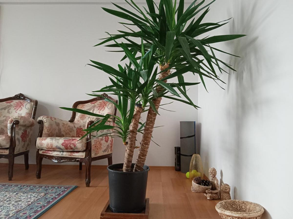 Single Room, Одноместная Комната В Доме, Chambre D'Une Personne, Habitacion Individual อิสตันบูล ภายนอก รูปภาพ